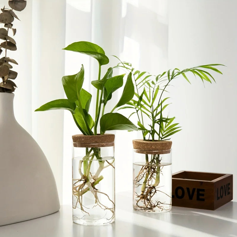 Skapa grön magi med elegant glasvas för sticklingar
