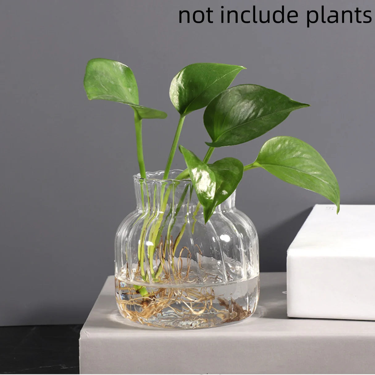 Transparent glasvas i retro randig design