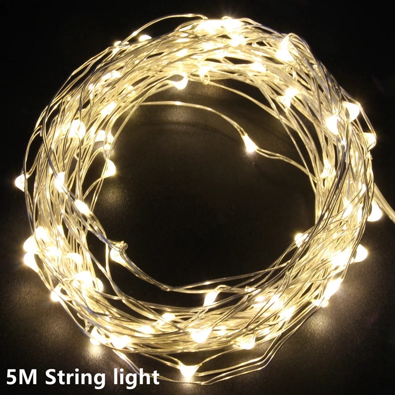 Foto-Clip Ljusslinga