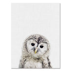 Djurposter på canvas