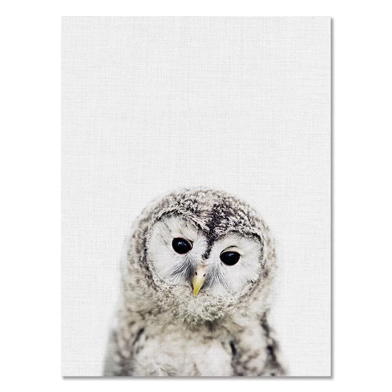 Djurposter på canvas