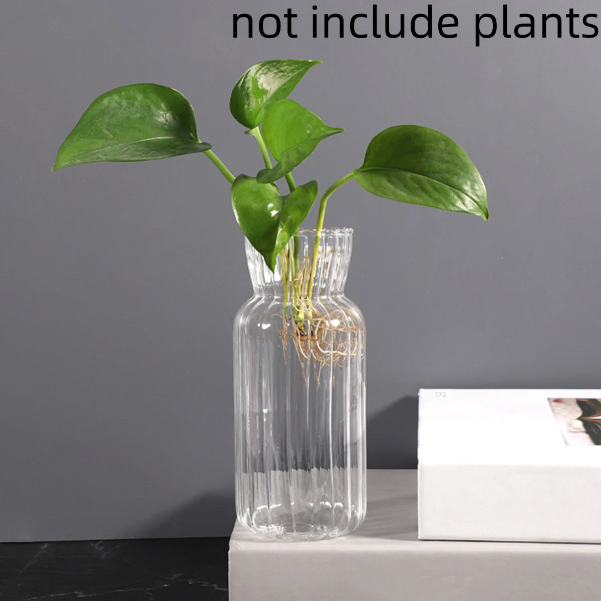 Transparent glasvas i retro randig design