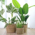 Braided basket for planting/storage