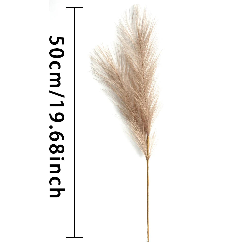 Pampas grass