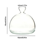 Glasvas för odling av avokadokärna