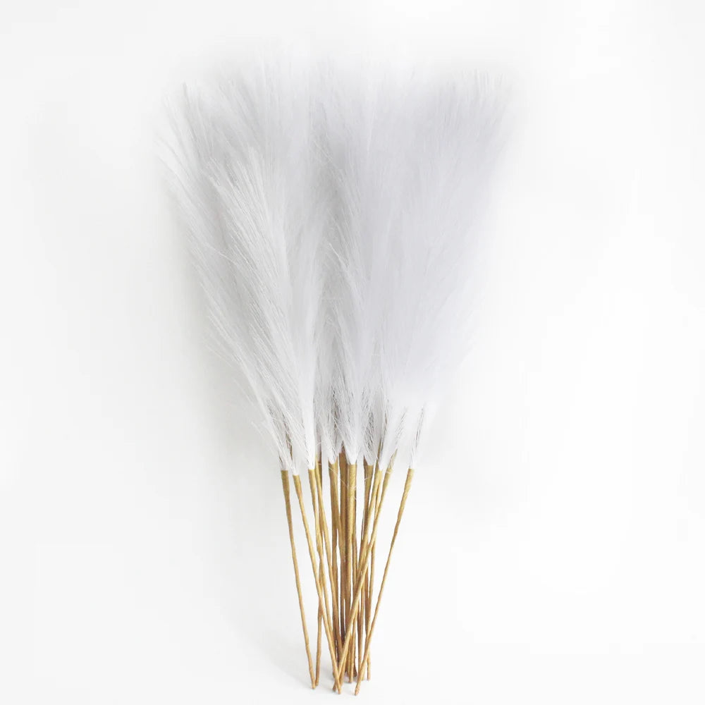 Pampas grass