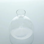 Glasvas för odling av avokadokärna