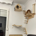 Väggmonterat klättersystem för lek, vila och klös