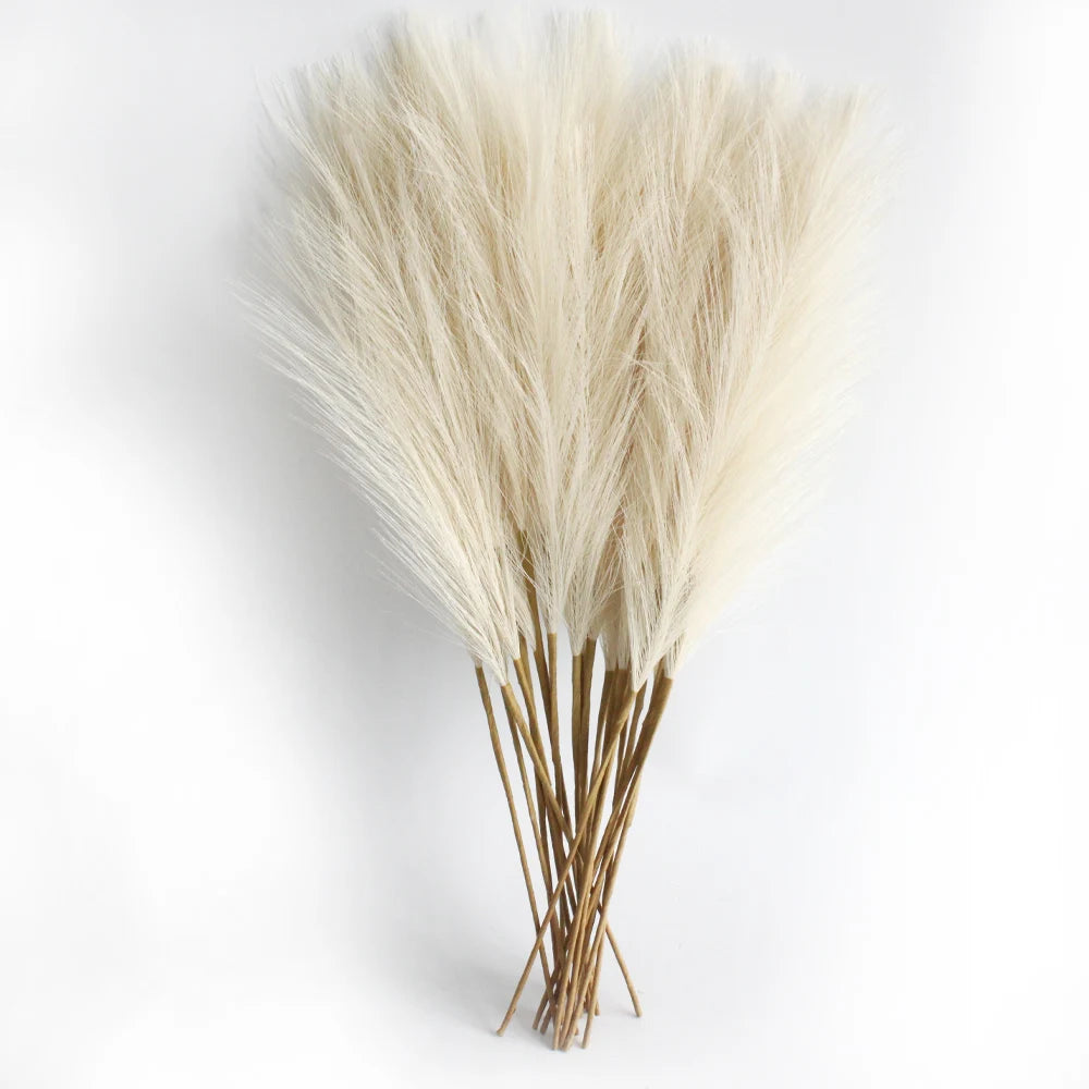 Pampas grass