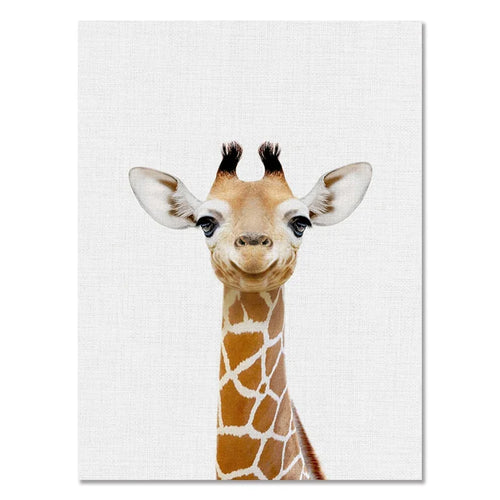 Animal posters on canvas