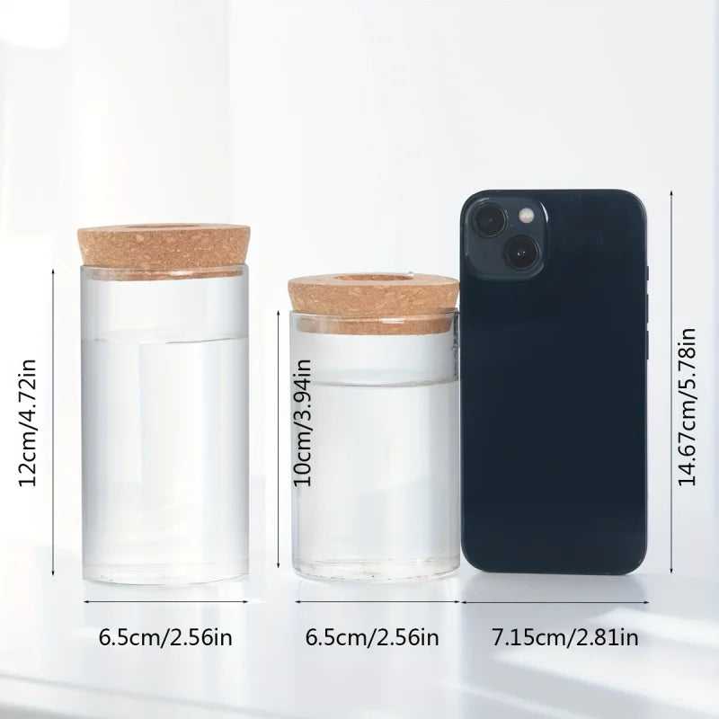 Skapa grön magi med elegant glasvas för sticklingar