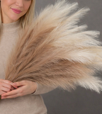 Lyxigt Pampasgräs 97 cm