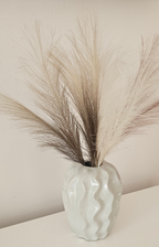 Pampas grass