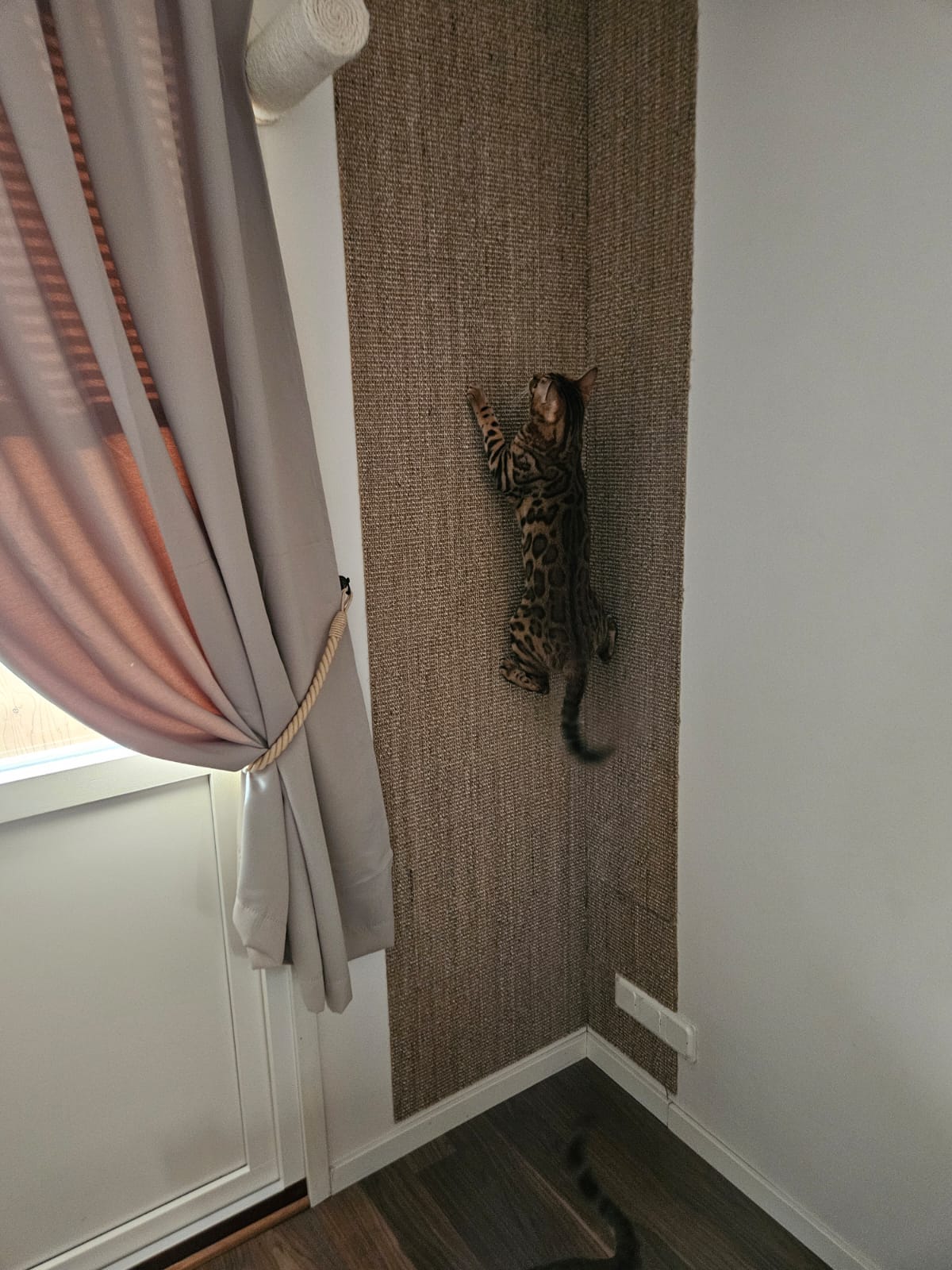 Svensktillverkad måttbeställd sisalmatta 🇸🇪 - Kjellbergs Sisal Boucle Sand