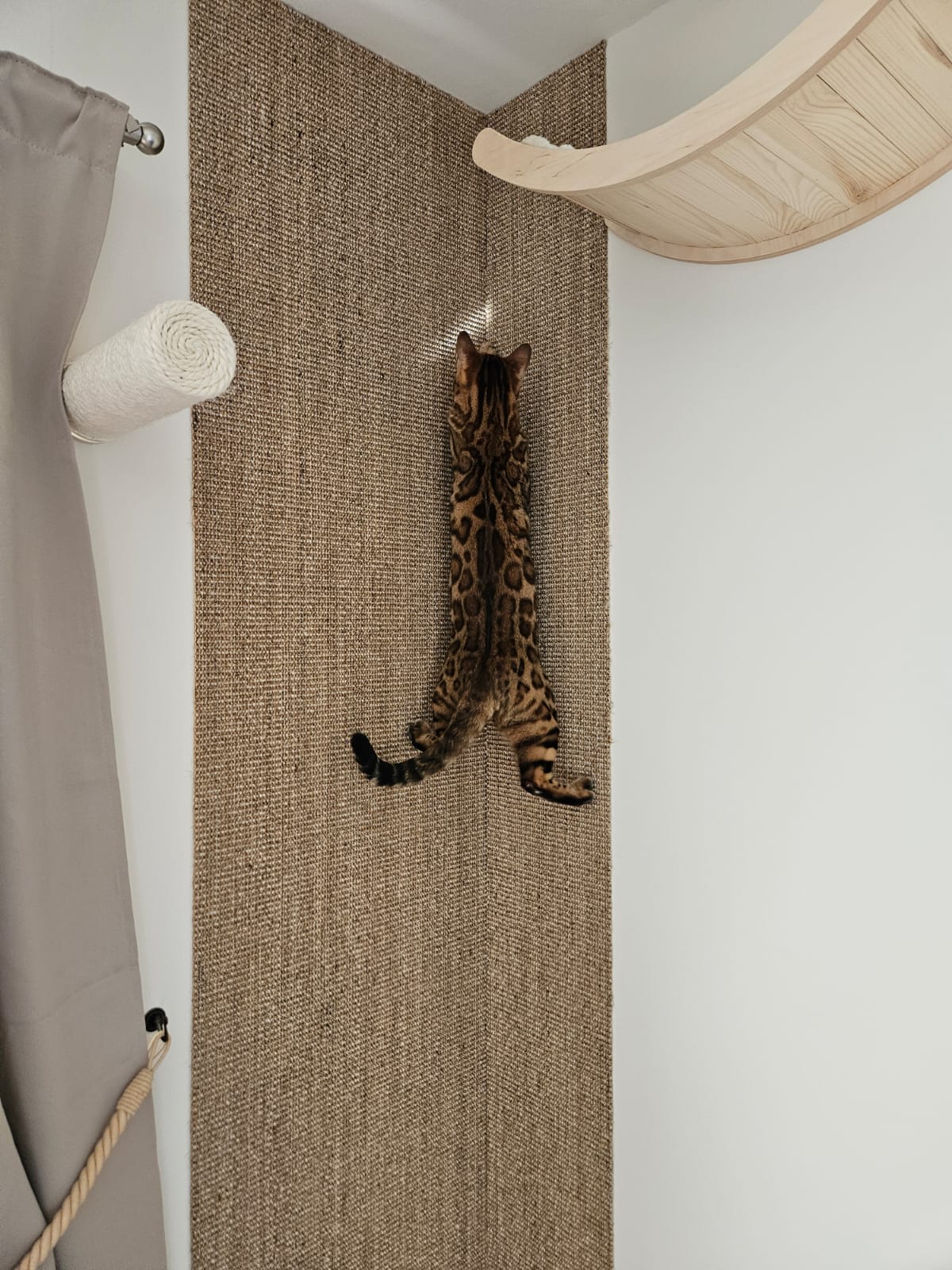 Svensktillverkad måttbeställd sisalmatta 🇸🇪 - Kjellbergs Sisal Boucle Sand